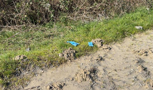 Çinli iş insanının cesedi elleri ve ayakları bağlı toprağa gömülü bulundu