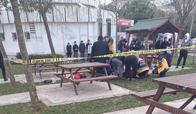 Parkta evli olduğu kadını vurdu, intihar etti!