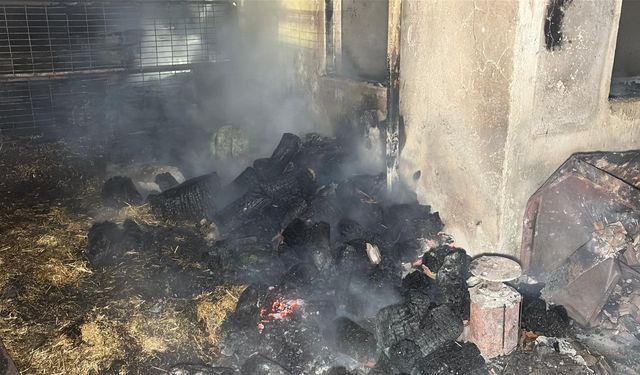 Tekirdağ'da çiftlik yangınında, 60 küçükbaş öldü