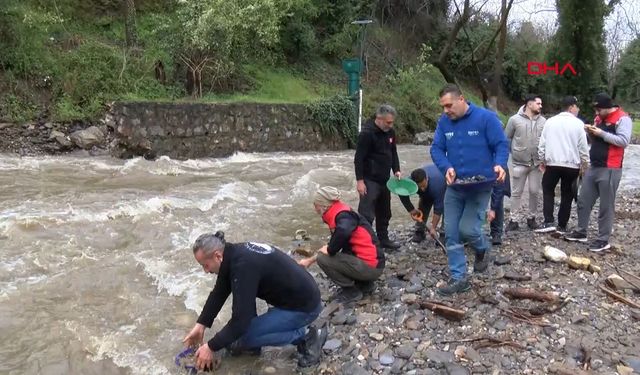 Sosyal medyada toplanan altın avcıları, yağışa rağmen İzmir'de derede altın aradı