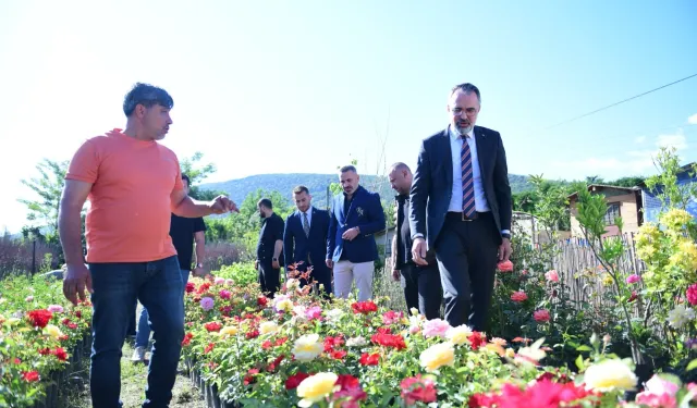 Bursa Kestel'de süs bitkileri üreticilerine destek