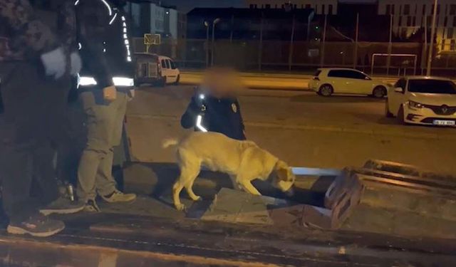 Çekiciye saklanmış 1 milyon 260 bin uyuşturucu hap ele geçirildi