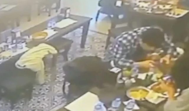 Yemeğin içerisinden çıkan böcek, müşterinin dudağını ısırdı!