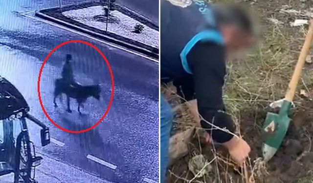 Kuyumcuyu soyup eşekle kaçan zanlıya istenen ceza belli oldu!