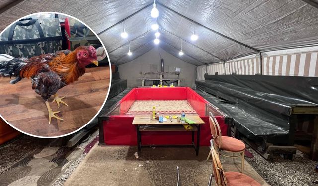 Horoz dövüştürülen çadıra baskın; 16 kişiye para cezası