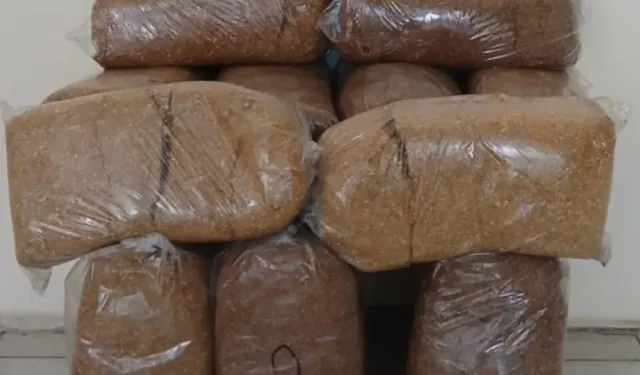 Samsun'da kaçak tütün operasyonu