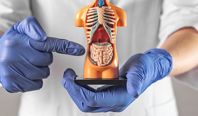 Kanser hastalarına Yargıtay'dan kara haber