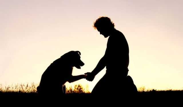 Araştırma: Köpek sahibi olmak kalp sağlığını destekliyor