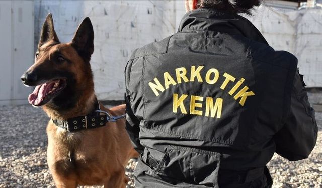 67 ilde uyuşturucu satıcılarına operasyon: 638 şüpheli yakalandı