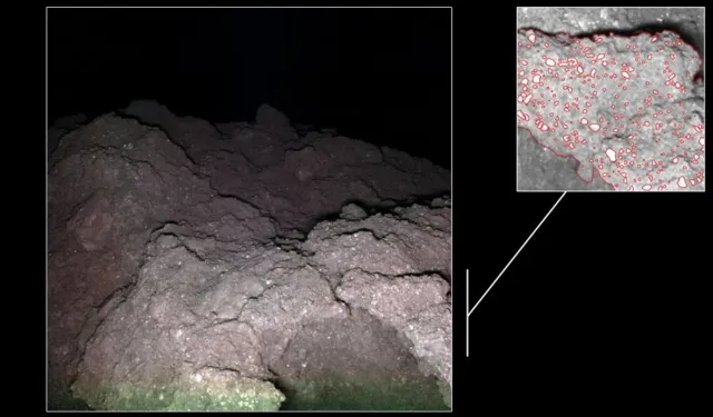Ryugu asteroidinde yaşamın temel yapı taşları keşfedildi