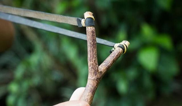 Sapanla kuş avlayana 15 bin lira ceza!