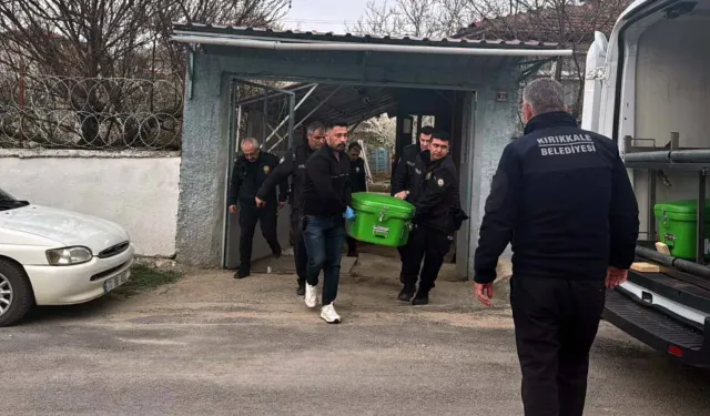 İki kardeş, annelerini dövdüğünü iddia ettikleri babalarını baltayla öldürdü