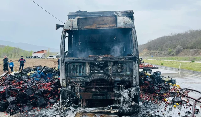 Çilek yüklü kamyon alev alev yandı