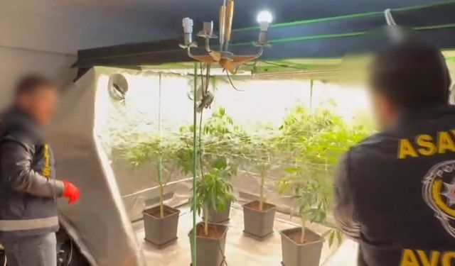 Avcılar'da son 1 ayda 108 uyuşturucu operasyonu: 152 gözaltı