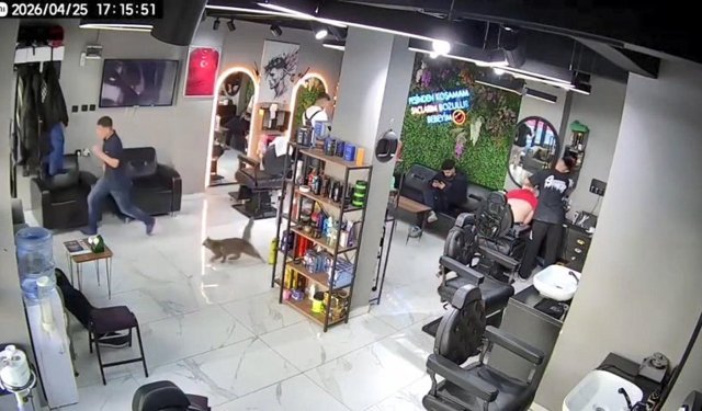 Kuaför salonunda kedi kovaladı müşteriler kaçtı; o anlar kamerada