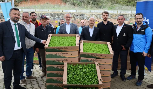 Kocaeli'de çiftçilere sebze fidesi desteği; işte son başvuru tarihi