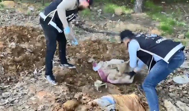 İstanbul'da toprağın altına gömülü binlerce silah parçası bulundu!