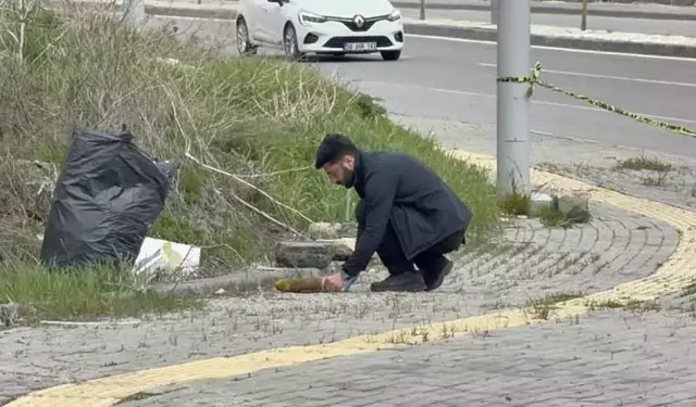 Sivas'ta yol kenarında havan topu mermisi bulundu