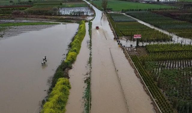 İzmir’de sağanak yağış: Tarım arazileri su altında kaldı