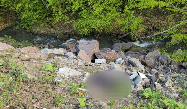 Binlerce saat kamera kaydı incelendi, cinayet şüphelisi bir günde yakalandı