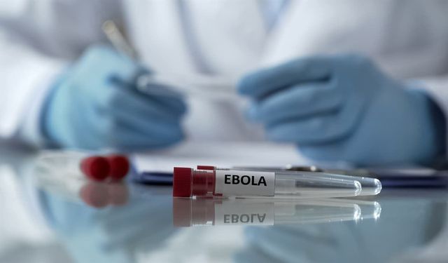 Ebola virüsü nedir? Ebola virüsü belirtileri nelerdir, nasıl bulaşır, kimler risk altında?