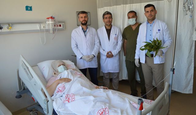 ‘İyi gelir’ diye toplayıp yediği ot, iç organlarına zarar verdi