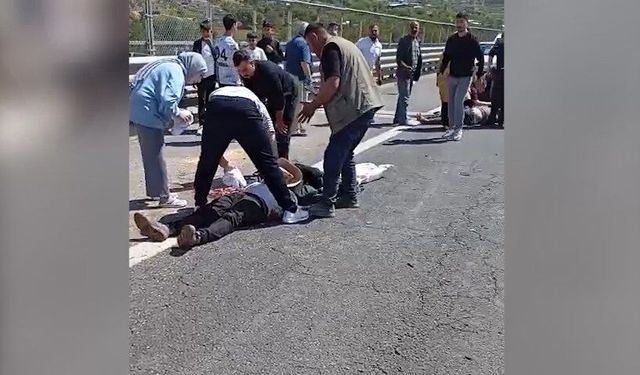 Kurbanlık koyun yüklü kamyonet devrildi: 1 ölü, 1 yaralı