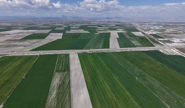 Konya Ovası’nda Cumhuriyet tarihinin en yüksek rekoltesi bekleniyor