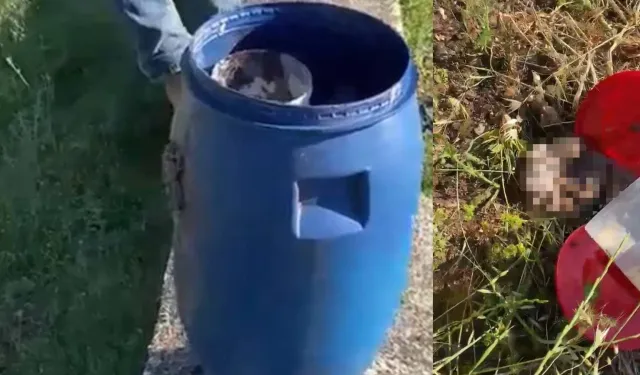 Şanlıurfa'da mezarlıkta bulunan plastik varilde 21 insan cenini bulundu!