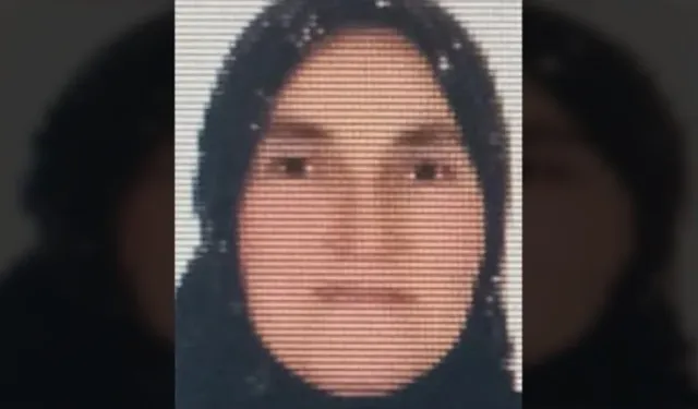 Ordu'da ineğin teptiği kadın öldü