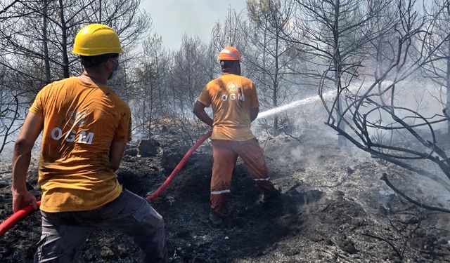 Antalya'da orman yangını: Havadan ve karadan müdahale sürüyor