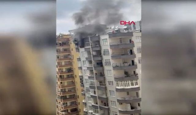 Apartman dairesindeki yangında mahsur kalan köpek kurtarıldı
