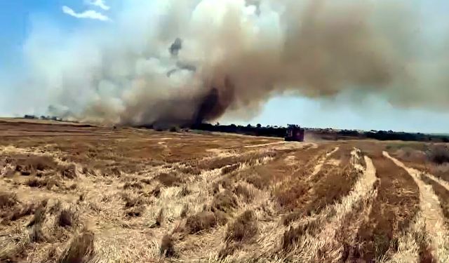 Edirne'de yangın: 200 dekar tarım arazisi zarar gördü