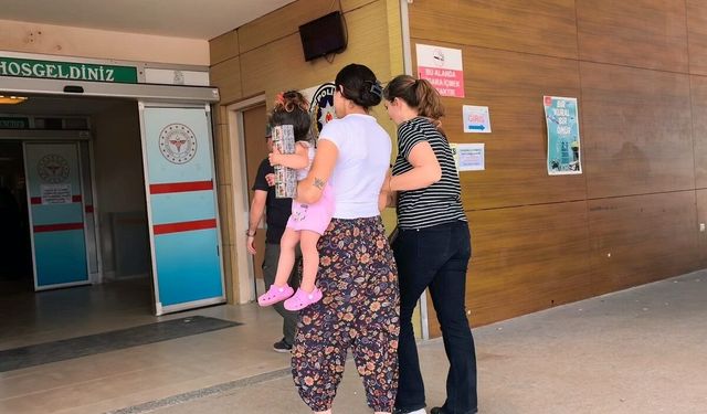 İki ayrı ilde 18 hırsızlık olayının şüphelisi kucağındaki bebeğiyle yakalandı