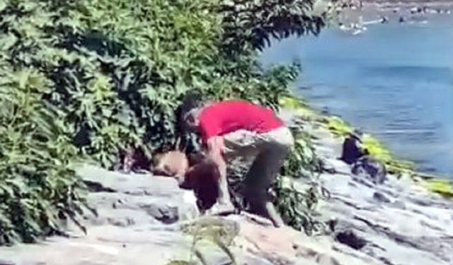 Avcılar Sahili’nde köpeğe şiddet kamerada