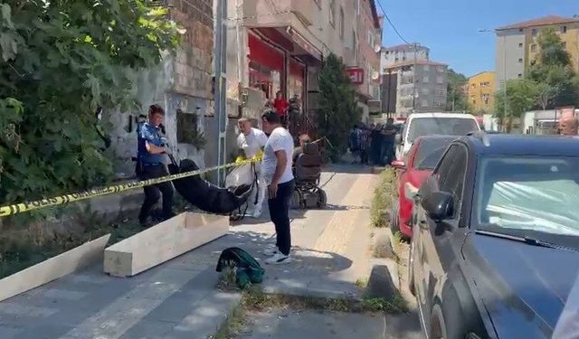 Metruk binada kayıp kedisini arayan kadın, ceset buldu
