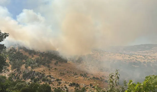 Diyarbakır Silvan’da orman yangını