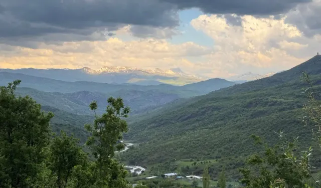 Şırnak’ta ormanlık alanlara giriş yasağı