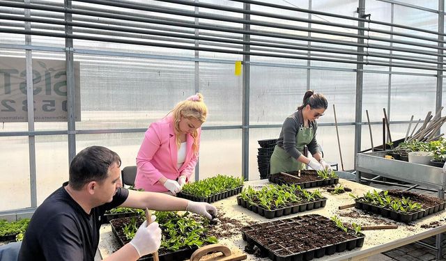 Yenimahalle’de park ve bahçeler yaz çiçekleriyle renklendiriliyor