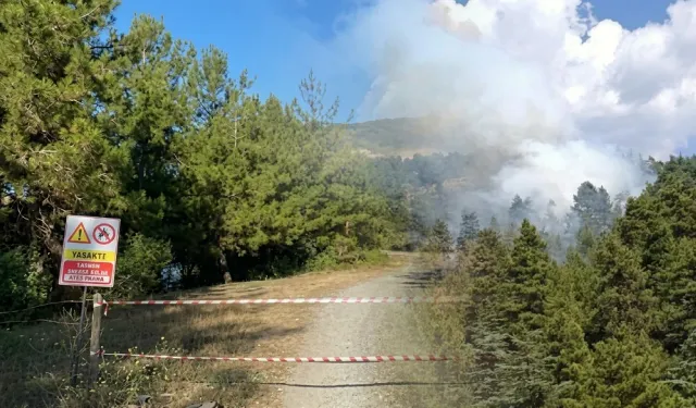 Ankara'da açık alanların tamamında ateş yakmak yasaklandı!