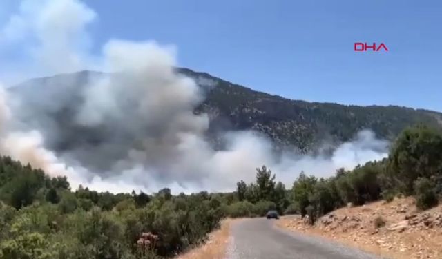 Antalya'da orman yangını; havadan ve karadan müdahale ediliyor!