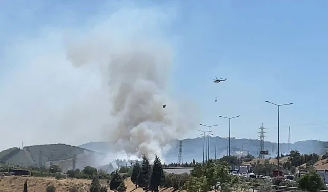 İzmir'de otluk alanda çıkan yangın, ormana sıçradı
