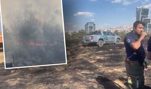 Ankara'daki ODTÜ Ormanı'nda yangın çıktı!