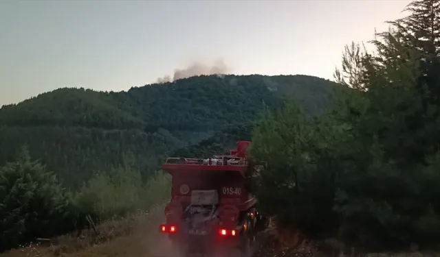 Adana'da ormanlık alanda yangın çıktı