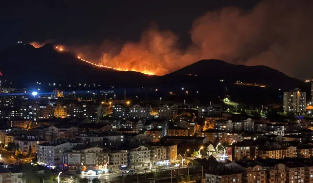 Ankara'da ağaçlık alanda yangın; müdahale sürüyor