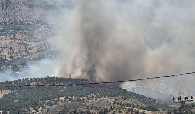 Adıyaman'da orman yangını!