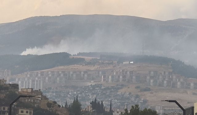 Kahramanmaraş'ta orman yangını
