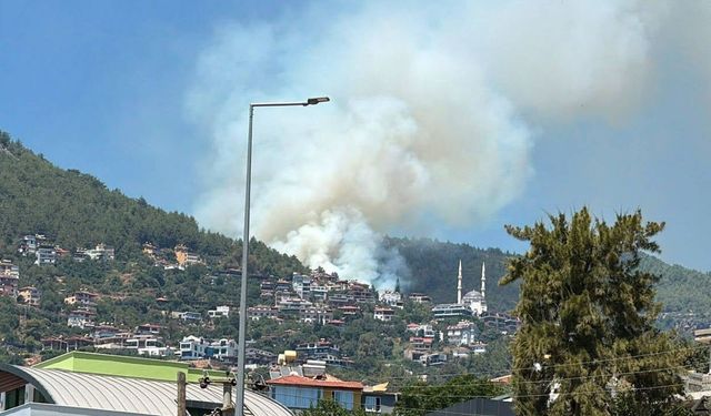 Erdek ve Alanya'da orman yangını!