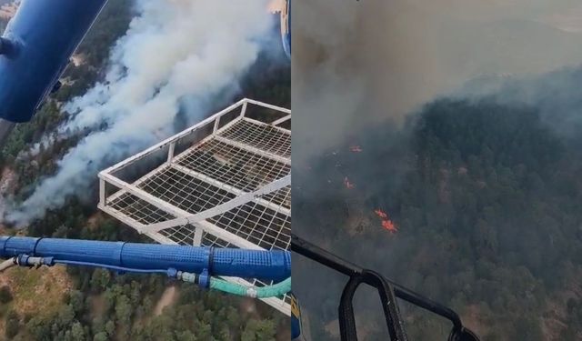 Aydın'da orman yangın çıktı: Ekipler havadan ve karadan müdahale ediyor