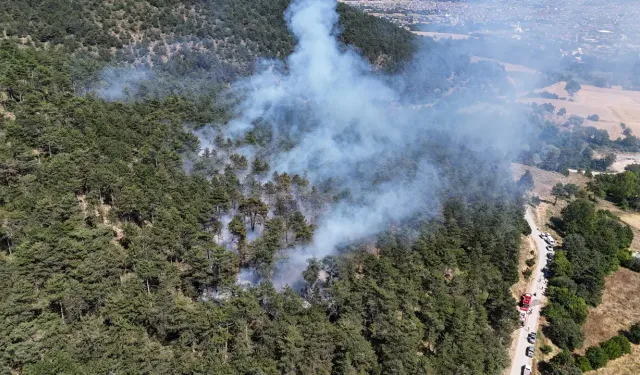 Antalya Kepez'de orman yangını çıktı